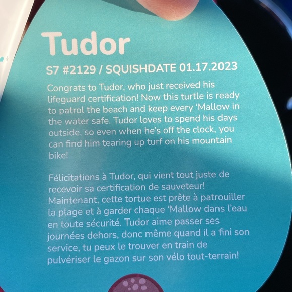Squishmallows FTM Tudor the turtle - Picture 5 of 5